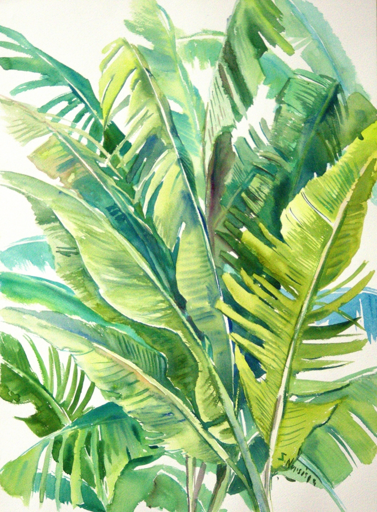 Banana Leaves